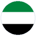 UAE Dubai Flag